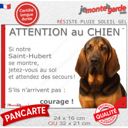 Saint-Hubert noir et feu, plaque humour portail "Attention au Chien, Jetez Vous au Sol, courage" photo résiste intempéries