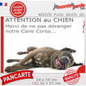 Plaque humour "Attention au Chien, Merci de ne pas déranger notre Cane Corso" 2 tailles NPD D