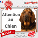Saint-Hubert noir et feu, plaque photo extérieure portail "Attention au Chien" 3 tailles LUX D