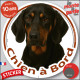 Bruno du Jura, disque photo autocollant "Chien à Bord" Sticker adhésif rond vitre voiture résiste intempéries