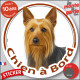 Silky Terrier Australien, disque photo autocollant "Chien à Bord" Sticker adhésif rond vitre voiture résiste intempéries