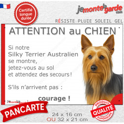Silky Terrier Australien, disque photo autocollant "Chien à Bord" Sticker adhésif rond vitre voiture résiste intempéries, plaque