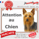 Silky Terrier Australien, plaque extérieure portail "Attention au Chien" photo résiste intempéries