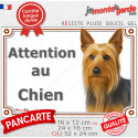 Silky Terrier Australien, plaque photo extérieure portail "Attention au Chien" 3 tailles LUX D