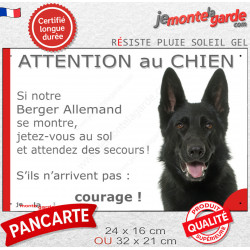 Berger Allemand tout noir poils courts, plaque portail humour "Attention au chien, se montre, Jetez Vous au Sol, courage" photo