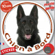 Berger Allemand poils courts tout noir, sticker autocollant rond "Chien à Bord" voiture auto vitre disque adhésif photo