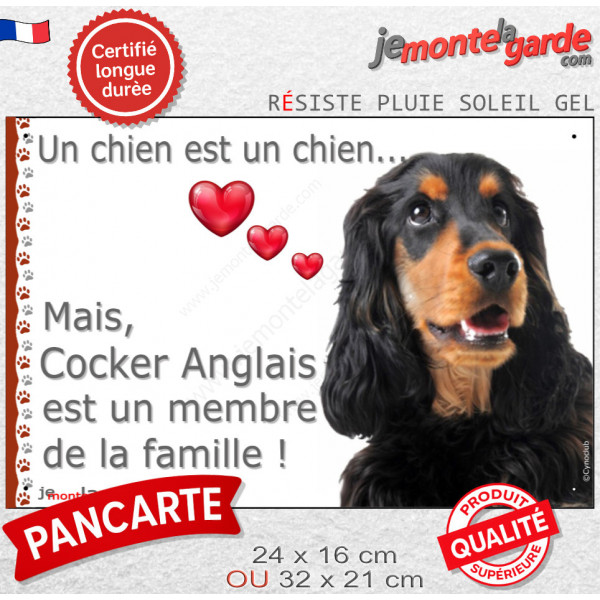 Cocker Anglais Noir et Feu, plaque "Un chien est Membre de la Famille" photo idée cadeau cadre résiste intempéries