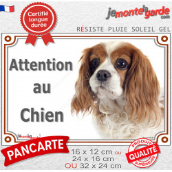 Cavalier King Charles Blenheim Tête, plaque portail extérieur "Attention au Chien" pancarte photo panneau blanc et orange marron