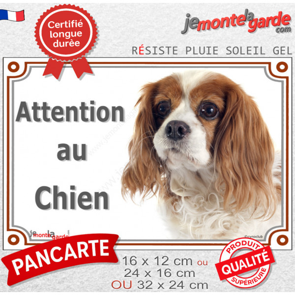 Cavalier King Charles Blenheim Tête, plaque portail extérieur "Attention au Chien" pancarte photo panneau blanc et orange marron