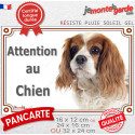 Cavalier King Charles Blenheim, plaque extérieure "Attention au Chien" 3 tailles LUX D