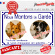 Photo personnalisable, plaque pluriel portail blanc liseré bleu "Nous Montons la Garde, risques périls" look plaque de rue