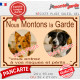 Photo personnalisable, plaque pluriel portail beige sable "Nous Montons la Garde, risques périls" look plaque de rue