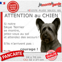 Skye Terrier gris acier, plaque extérieure humour "Attention au Chien, Jetez Vous au Sol, attendez du secours, courage" photo