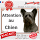 Skye Terrier gris acier, plaque extérieure portail "Attention au Chien" photo résiste intempéries