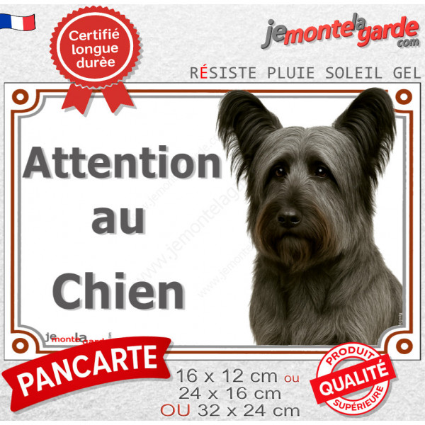 Skye Terrier gris acier, plaque extérieure portail "Attention au Chien" photo résiste intempéries
