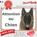 Tervueren, plaque portail photo "Attention au Chien" 2 tailles LUX D