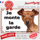 Pinscher fauve Tête, plaque portail "Je Monte la Garde, entrez à risques périls" photo résiste intempéries