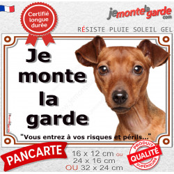 Pinscher fauve Tête, plaque portail "Je Monte la Garde, entrez à risques périls" photo résiste intempéries