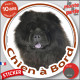 Chow-Chow noir, sticker autocollant rond "Chien à Bord" Disque adhésif photo vitre voiture résiste intempéries