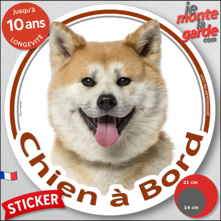Akita Inu fauve et blanc Tête, sticker rond "Chien à Bord" disque autocollant photo auto, adhésif vitre voiture jaune orange, ré