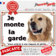 Golden Retriever Tête, Plaque portail extérieur "Je Monte la Garde, risques périls" photo extérieure résiste intempéries