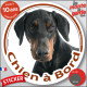 Dobermann noir et feu, sticker autocollant rond "Chien à Bord" Disque adhésif vitre voiture photo race chien résiste intempéries