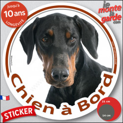 Dobermann noir et feu, sticker autocollant rond "Chien à Bord" Disque adhésif vitre voiture photo race chien résiste intempéries