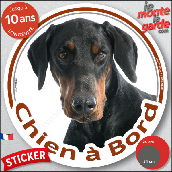 Dobermann noir et feu, sticker autocollant rond "Chien à Bord" Disque adhésif vitre voiture photo race chien résiste intempéries
