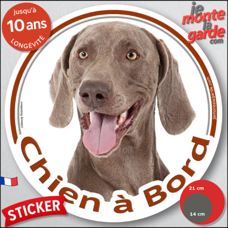 Braque de Weimar Tête, sticker autocollant rond "Chien à Bord" Disque adhésif photo vitre voiture, résiste pluie soleil gel, idé