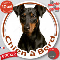 Manchester Terrier, disque photo autocollant voiture "Chien à Bord" 2 tailles D