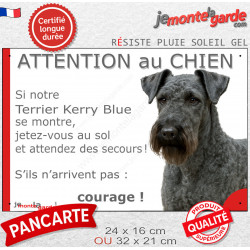 Terrier Kerry Blue, plaque extérieure humour "Attention au Chien, Jetez Vous au Sol, attendez secours, courage" photo portail