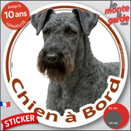 Terrier Kerry Blue, disque photo autocollant "Chien à Bord" Sticker adhésif rond vitre voiture résiste pluie soleil gel, idée ca
