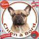Bouledogue Français Fauve, sticker autocollant rond "Chien à Bord" Disque adhésif photo Bulldog beige sable