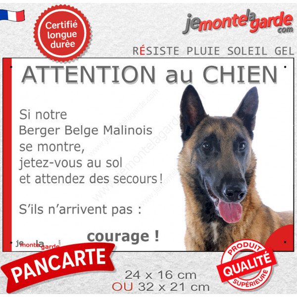 Berger Belge Malinois Tête, Panneau humour "Attention au Chien, jetez-vous au sol, attendez du secours !" photo drôle plaque 