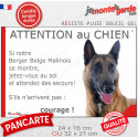 Berger Belge Malinois, plaque humour "Attention au Chien, jetez Vous au Sol" 2 tailles D