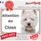 Westie toiletté, plaque portail "Attention au Chien" photo Westy épilé, résiste intempéries West Highlands White Terrier