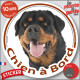 Rottweiler, sticker autocollant rond "Chien à Bord" Disque adhésif voiture Rott photo registre intempéries