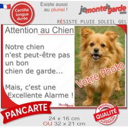 Photo Personnalisable, plaque portail humour "Attention au Chien pas bon chien de garde, mais Excellente Alarme" photo