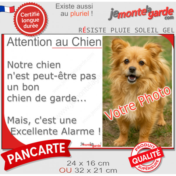 Photo Personnalisable, plaque portail humour "Attention au Chien pas bon chien de garde, mais Excellente Alarme" photo