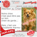 Photo Personnalisable, plaque humour "Attention au Chien de garde Excellente Alarme" 2 tailles D