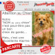 Photo Personnalisable, plaque portail humour "Attention au Chien pas bon chien de garde, mais Excellente Alarme" avec prénom