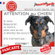 Beauceron Arlequin, plaque portail humour "Attention au Chien, Jetez Vous au Sol, courage" Berger Beauce bleu merle photo