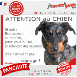 Beauceron Arlequin, plaque portail humour "Attention au Chien, Jetez Vous au Sol, courage" Berger Beauce bleu merle photo