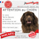 Terre Neuve marron chocolat tête, plaque extérieure humour "Attention au Chien, Jetez Vous au Sol, secours courage" photo