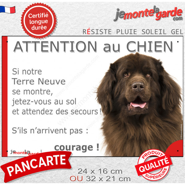 Terre Neuve marron chocolat tête, plaque extérieure humour "Attention au Chien, Jetez Vous au Sol, secours courage" photo