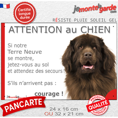 Terre Neuve marron chocolat tête, plaque portail humour "Attention au Chien, Jetez Vous au Sol, secours courage" photo, résiste 