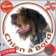 Griffon Korthals, sticker autocollant rond "Chien à Bord" disque adhésif vitre voiture photo