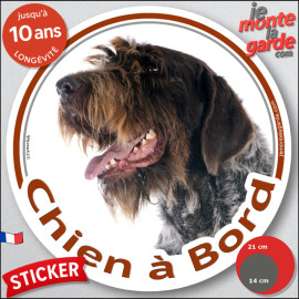 Griffon Korthals, sticker autocollant rond "Chien à Bord" disque adhésif vitre voiture photo, résiste pluie soleil gel, idée cad