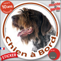 Griffon Korthal, sticker voiture rond photo "Chien à Bord" 2 tailles D