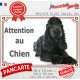 Cocker Anglais Noir, plaque portail extérieure "Attention au Chien" photo résiste intempéries Spaniel